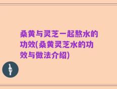 桑黄与灵芝一起熬水的功效(桑黄灵芝水的功效与做法介绍)