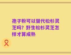 孢子粉可以替代松杉灵芝吗？野生松杉灵芝怎样才算成熟
