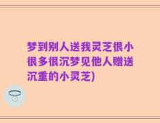 梦到别人送我灵芝很小很多很沉梦见他人赠送沉重的小灵芝)