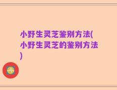 小野生灵芝鉴别方法(小野生灵芝的鉴别方法)