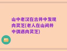 山中老汉在古井中发现肉灵芝(老人在山间井中偶遇肉灵芝)