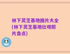 林下灵芝基地图片大全(林下灵芝基地壮观照片盘点)