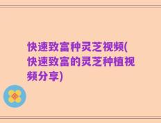快速致富种灵芝视频(快速致富的灵芝种植视频分享)