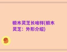 椴木灵芝长啥样(椴木灵芝：外形介绍)