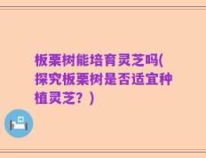 板栗树能培育灵芝吗(探究板栗树是否适宜种植灵芝？)