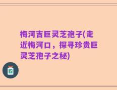 梅河吉巨灵芝孢子(走近梅河口，探寻珍贵巨灵芝孢子之秘)