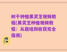 树干种植黑灵芝视频教程(黑灵芝种植视频教程：从栽培到收获完全指南)