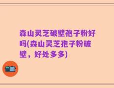 森山灵芝破壁孢子粉好吗(森山灵芝孢子粉破壁，好处多多)