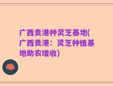广西贵港种灵芝基地(广西贵港：灵芝种植基地助农增收)