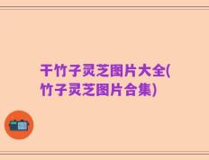 干竹子灵芝图片大全(竹子灵芝图片合集)