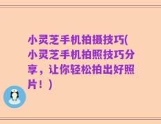 小灵芝手机拍摄技巧(小灵芝手机拍照技巧分享，让你轻松拍出好照片！)
