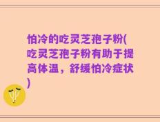 怕冷的吃灵芝孢子粉(吃灵芝孢子粉有助于提高体温，舒缓怕冷症状)