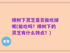 樟树下灵芝是否能吃掉呢(能吃吗？樟树下的灵芝有什么特点？)