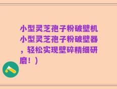 小型灵芝孢子粉破壁机小型灵芝孢子粉破壁器，轻松实现壁碎精细研磨！)