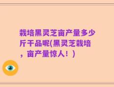 栽培黑灵芝亩产量多少斤干品呢(黑灵芝栽培，亩产量惊人！)