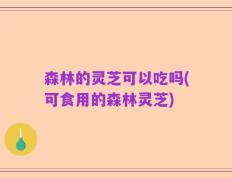 森林的灵芝可以吃吗(可食用的森林灵芝)