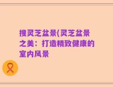 搜灵芝盆景(灵芝盆景之美：打造精致健康的室内风景
