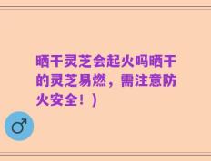 晒干灵芝会起火吗晒干的灵芝易燃，需注意防火安全！)