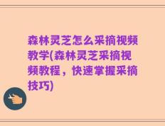 森林灵芝怎么采摘视频教学(森林灵芝采摘视频教程，快速掌握采摘技巧)