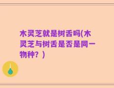 木灵芝就是树舌吗(木灵芝与树舌是否是同一物种？)