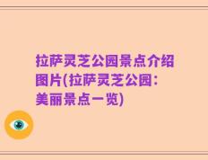 拉萨灵芝公园景点介绍图片(拉萨灵芝公园：美丽景点一览)
