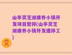 山亭灵芝湖康养小镇开发项目暂停(山亭灵芝湖康养小镇开发遭停工)