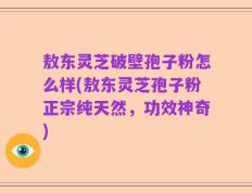 敖东灵芝破壁孢子粉怎么样(敖东灵芝孢子粉正宗纯天然，功效神奇)