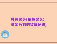 槐黄灵芝(槐黄灵芝：黄金药材的致富秘诀)