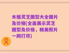 木植灵芝图型大全图片及价格(全面展示灵芝图型及价格，精美照片一网打尽)