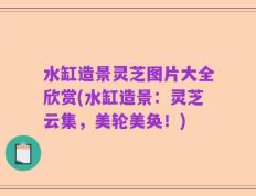 水缸造景灵芝图片大全欣赏(水缸造景：灵芝云集，美轮美奂！)