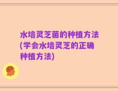 水培灵芝菌的种植方法(学会水培灵芝的正确种植方法)