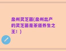泉州灵芝菌(泉州出产的灵芝菌是茶道养生之王！)