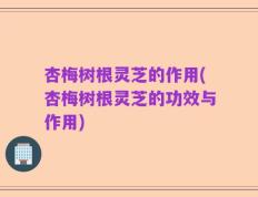 杏梅树根灵芝的作用(杏梅树根灵芝的功效与作用)