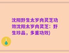 沈阳野生太岁肉灵芝功效沈阳太岁肉灵芝：野生珍品，多重功效)