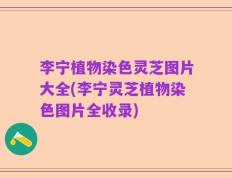 李宁植物染色灵芝图片大全(李宁灵芝植物染色图片全收录)