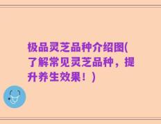 极品灵芝品种介绍图(了解常见灵芝品种，提升养生效果！)