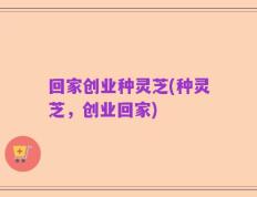 回家创业种灵芝(种灵芝，创业回家)