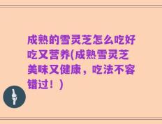 成熟的雪灵芝怎么吃好吃又营养(成熟雪灵芝美味又健康，吃法不容错过！)