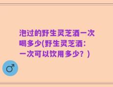 泡过的野生灵芝酒一次喝多少(野生灵芝酒：一次可以饮用多少？)