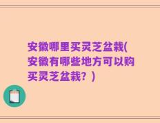 安徽哪里买灵芝盆栽(安徽有哪些地方可以购买灵芝盆栽？)