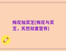 梅花加灵芝(梅花与灵芝，天然双重营养)