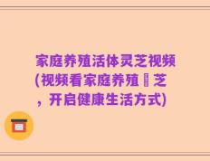 家庭养殖活体灵芝视频(视频看家庭养殖靈芝，开启健康生活方式)