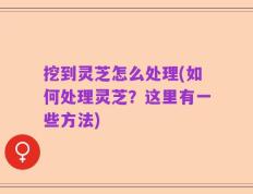 挖到灵芝怎么处理(如何处理灵芝？这里有一些方法)