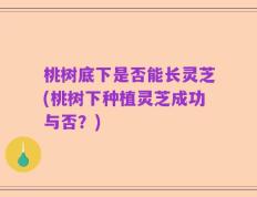 桃树底下是否能长灵芝(桃树下种植灵芝成功与否？)