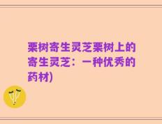 栗树寄生灵芝栗树上的寄生灵芝：一种优秀的药材)