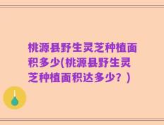 桃源县野生灵芝种植面积多少(桃源县野生灵芝种植面积达多少？)