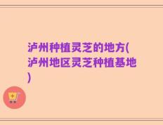 泸州种植灵芝的地方(泸州地区灵芝种植基地)