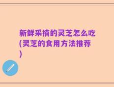 新鲜采摘的灵芝怎么吃(灵芝的食用方法推荐)