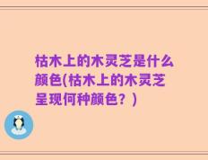 枯木上的木灵芝是什么颜色(枯木上的木灵芝呈现何种颜色？)