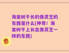 海棠树干长的像灵芝的东西是什么(神奇！海棠树干上长出像灵芝一样的东西)